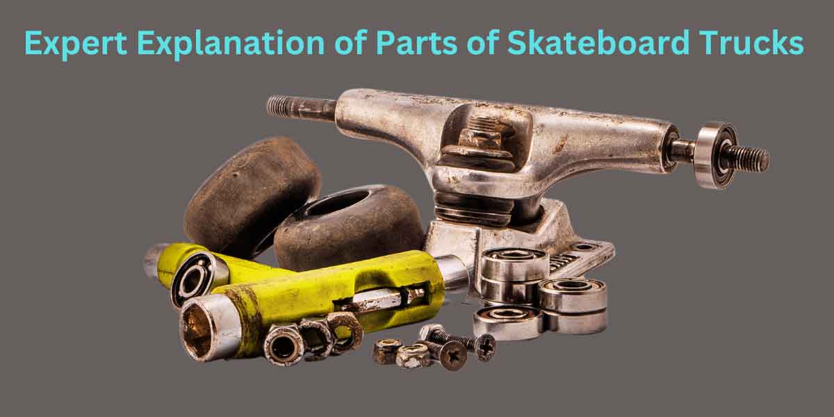 parts of skateboard trucks